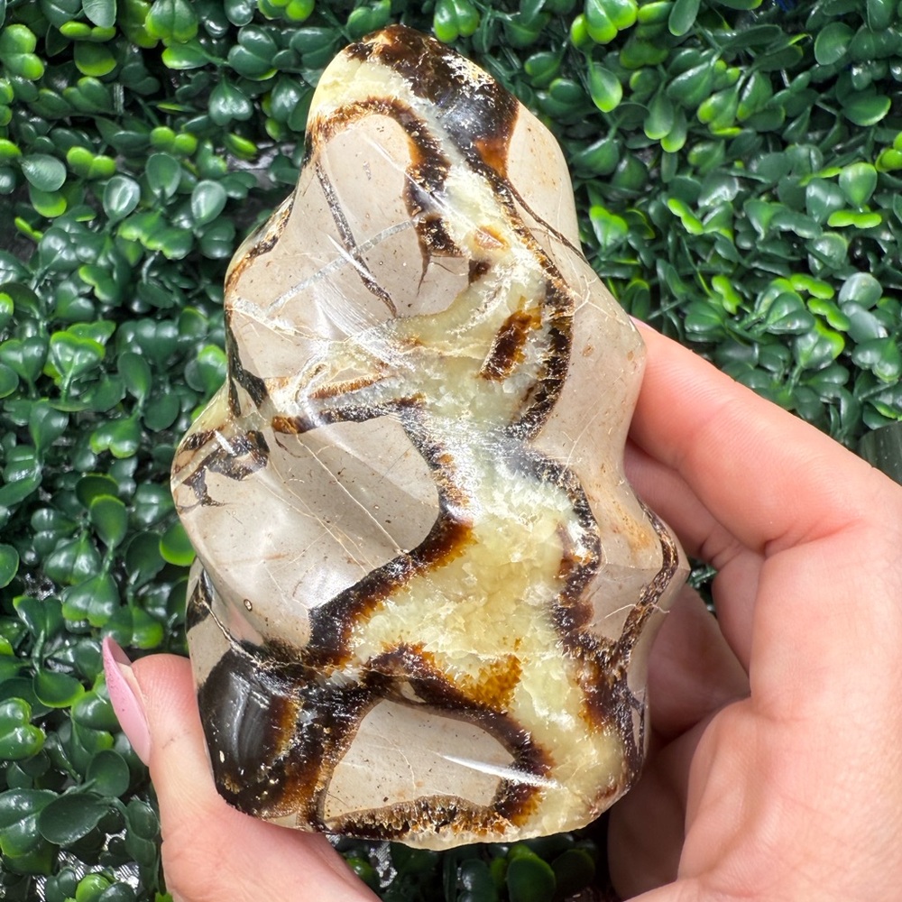 Septarian "Dragon Stone" Flame